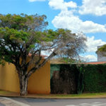 Sobrado com 3 quartos à venda com área gourmet completa e 5 vagas de garagem – Santa Marta - São Carlos/SP