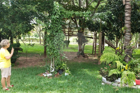 Sitio para venda.