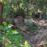 Terreno à venda - Vila São José