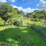Chácara no Balneário Santo Antônio á venda