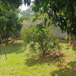 Casa à venda com 3 quartos, sendo 2 suítes, no condomínio Cafezal VI, Itupeva - SP