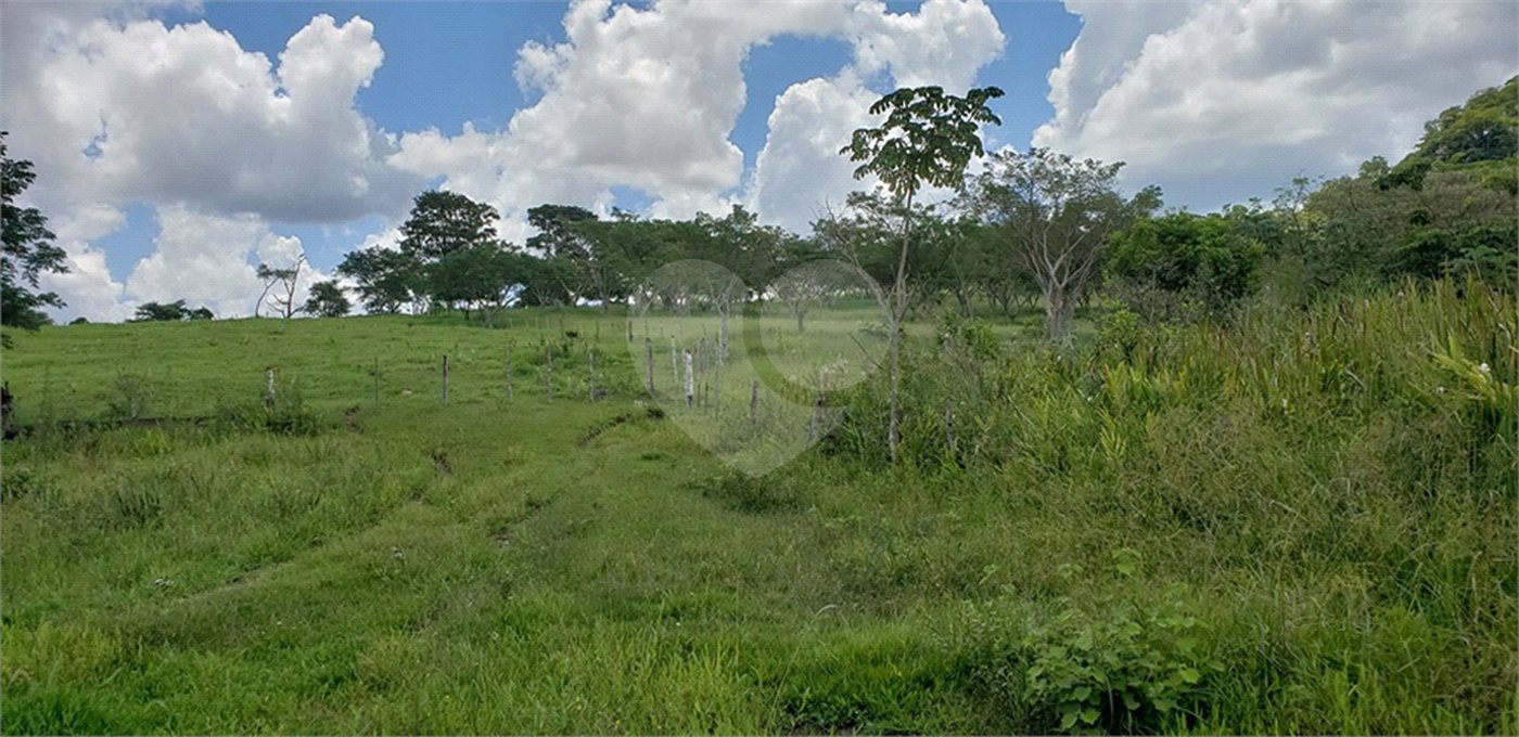 Sitio para venda.