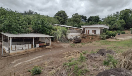 Sítio à venda em Jardim Nova República, São João da Boa Vista, SP