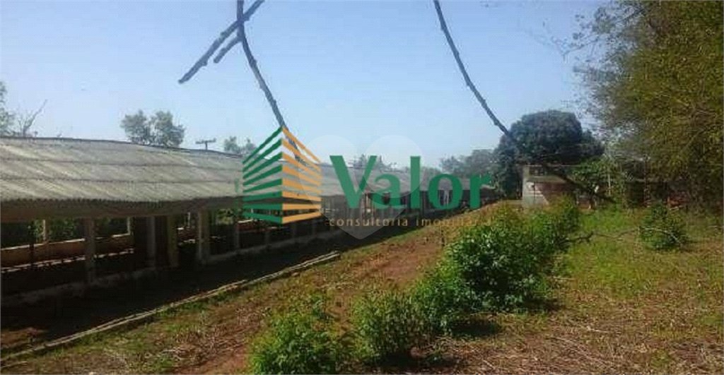 Sítio Estrada São Carlos Ribeirão - próximo São Carlos