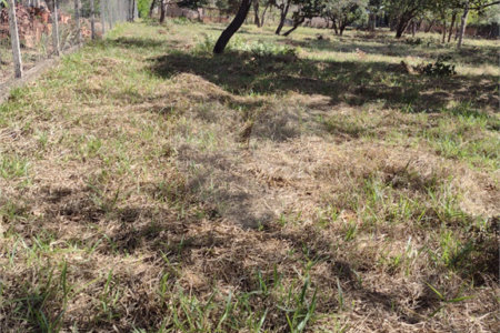 Terreno no Aracê de Santo Antonio.