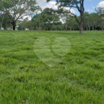 Sitio para venda.