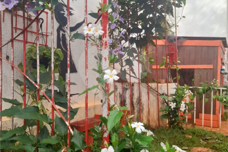 Casa com 4 dormitórios sendo 1 suíte a venda no bairro Samambaia