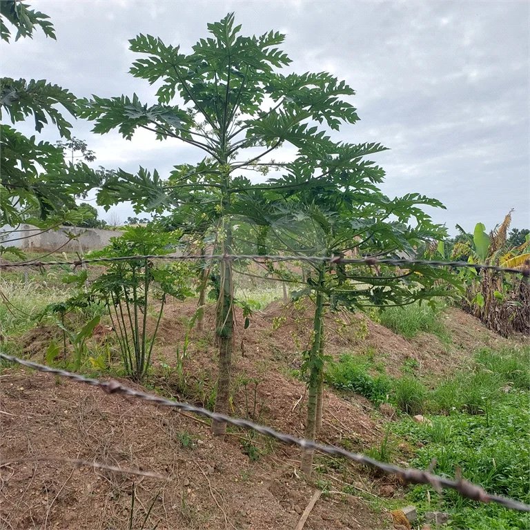 Terreno à venda no Estância Lago Azul, Piracicaba-SP.