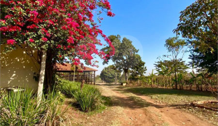 Sítio à venda com 3 quartos, sendo 1 suíte,  no Centro, Taiúva, SP