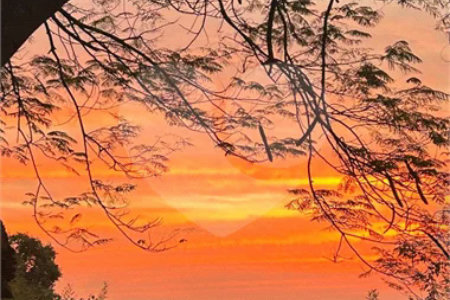 Sítio à venda com 8 quartos, sendo 3 suítes,  em Monte Alegre, Vinhedo, SP