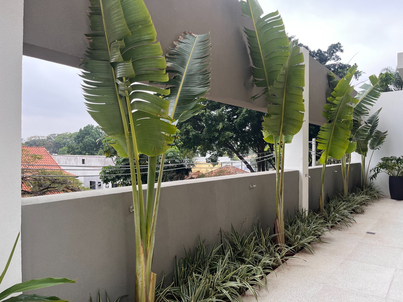 Apartamento à venda com 3 suítes em Butantã, São Paulo, SP
