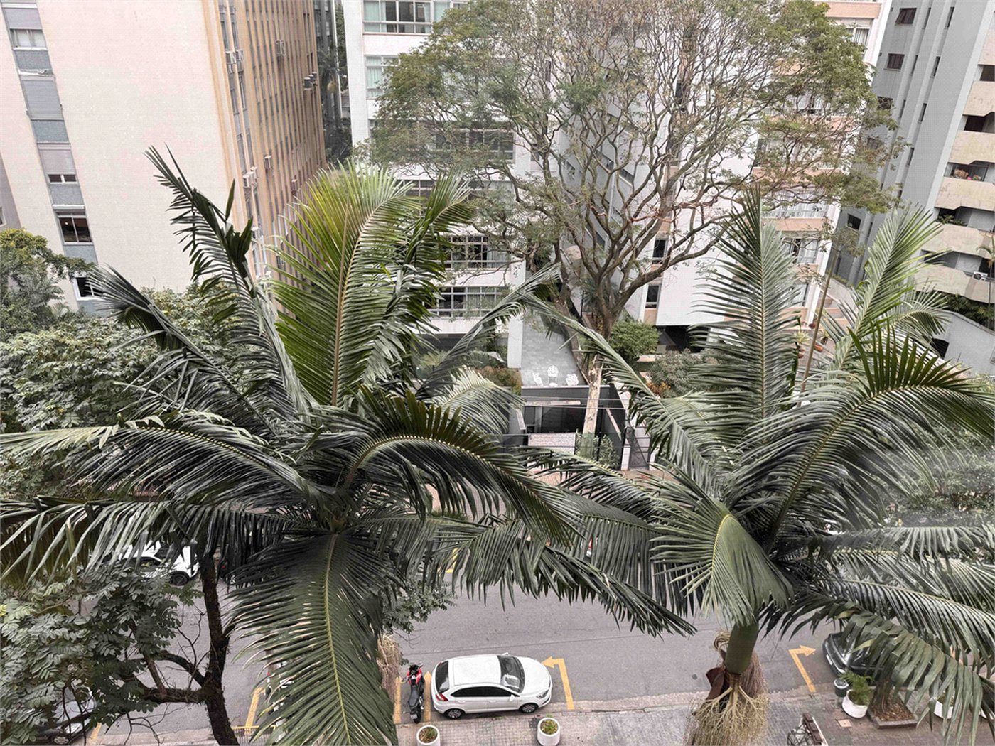 Elegância e conforto. Apartamento exclusivo de 250m2 em Higienópolis, um por andar.
