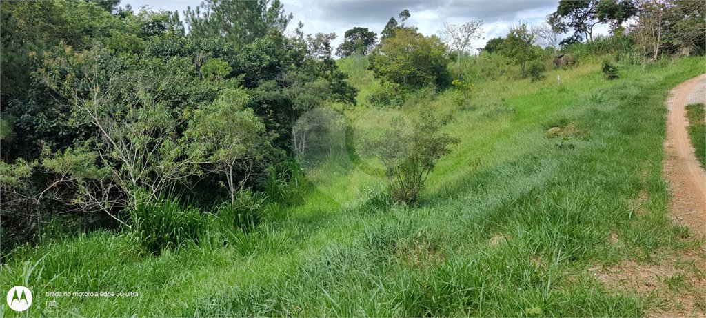 GLEBAS RURAIS EM PIRACAIA A PARTIR 20.000 M², EXCELENTE PARA CHÁCARAS E FAZENDINHAS