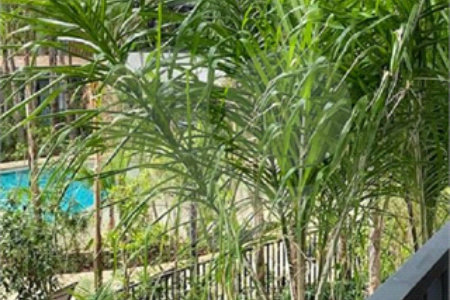Apartamento a venda no Bras em frente ao Metro
