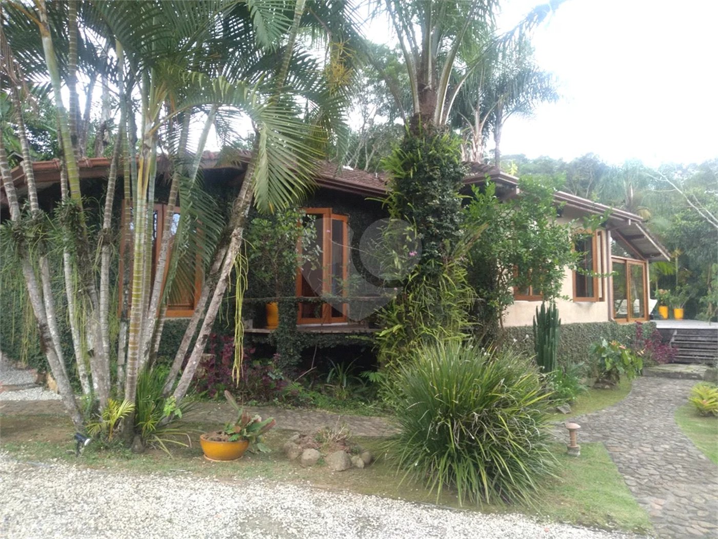 Sítio dos Sonhos em São Francisco Xavier – 10 Alqueires de Pura Natureza!