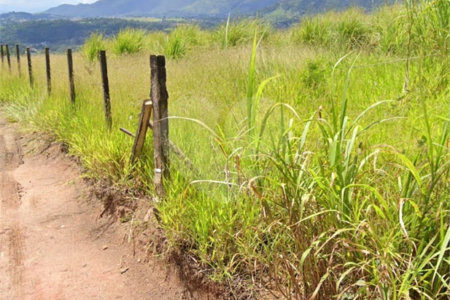 Oportunidade Exclusiva em Atibaia – Terreno com 8.919m² em Localização Privilegiada