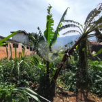 TERRENO À VENDA NO CONDOMÍNIO MORADA DA PRAIA 504m²– BERTIOGA/SP