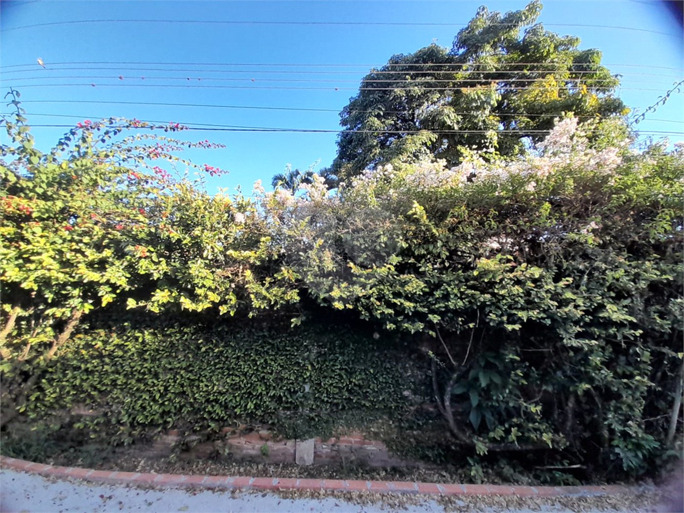 Casa de Alto Padrão à Venda e Locação no Parque Santa Mônica - São Carlos