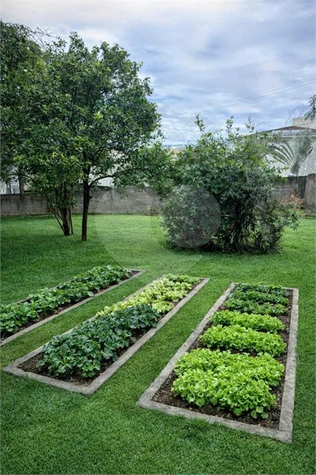 Chácara à venda com 3 quartos, sendo 1 suíte, em Bosque, Vinhedo, SP