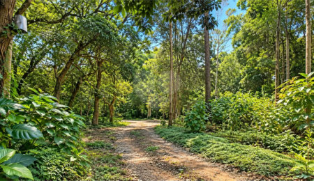 Terreno à venda em Interlagos, São Paulo, SP