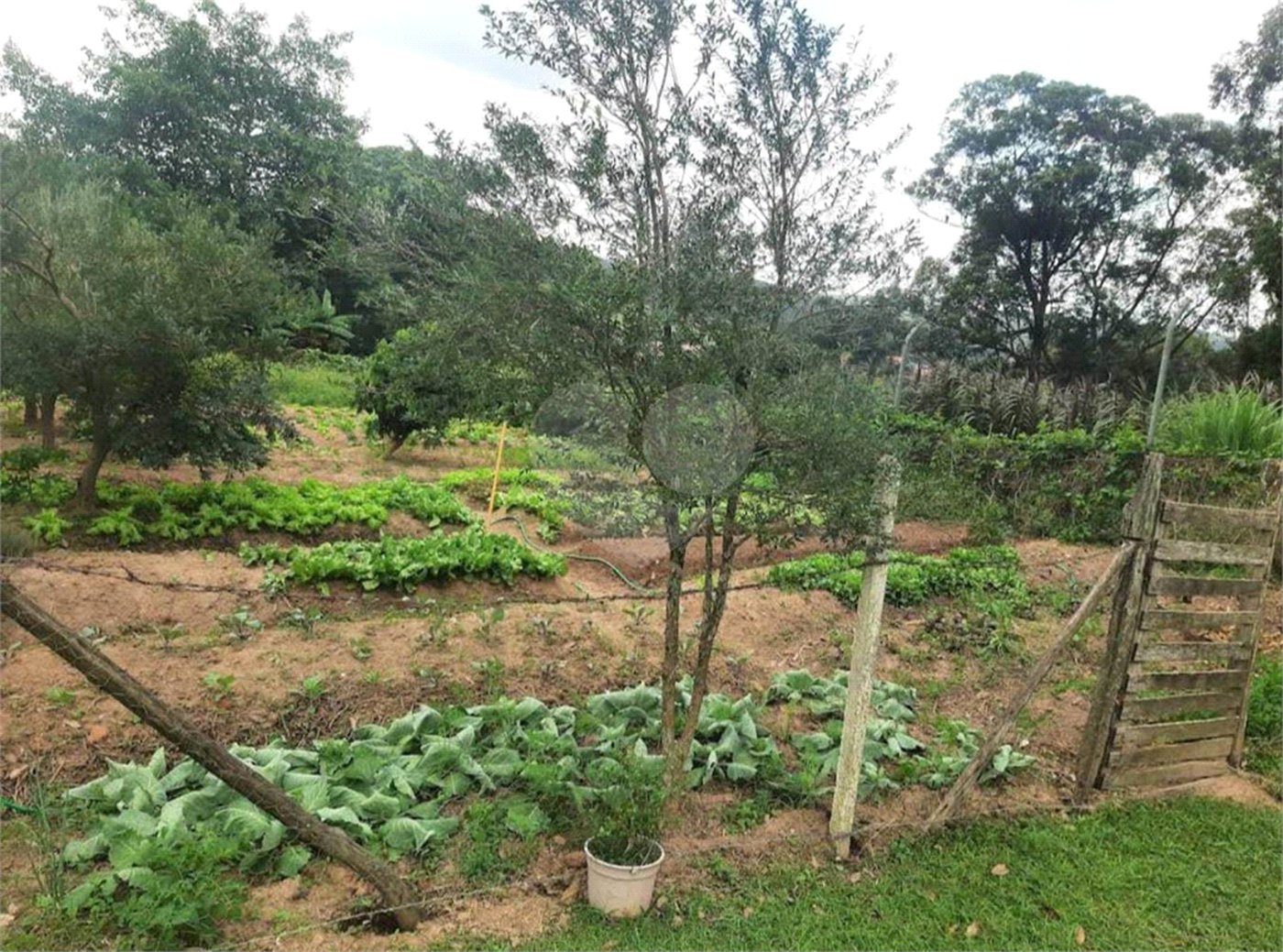 Excelente imóvel rural na cidade de Piedade/SP