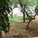 TERRENO PLANO COM ÓTIMA LOCALIZAÇÃO IDEAL PARA CONSTRUTOR