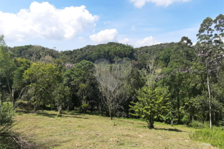 Tapiraí Sp - Sítio Santa Clara - Area de 12,1 ha - composto por casa principal, galpões poço artesiano, ótima área para plantios. Fica localizado a aproximadam. 1 quilômetro da prefeitura. Area preservação permanente- 4,6 ha - Area aproveitável - 4,6 ha - area utilizada rural - 2,5 ha -R$ 750.000,00