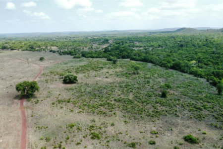 Fazenda à venda em Zona Rural, Balsas, MA