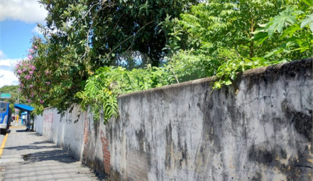 Terreno à venda em Vila Nancy, Mogi das Cruzes, SP