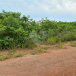 Terreno com 150,00 m² .