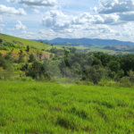 GLEBAS RURAIS EM PIRACAIA A PARTIR 20.000 M², EXCELENTE PARA CHÁCARAS E FAZENDINHAS