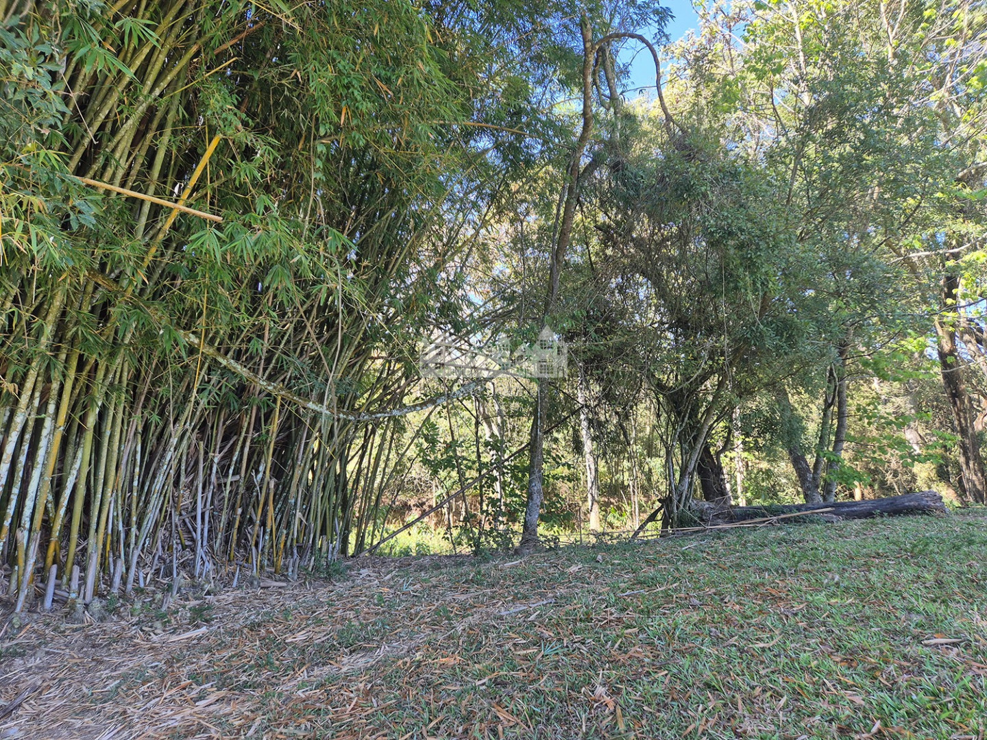 Sítio, 7 quartos, 17 hectares - Foto 16