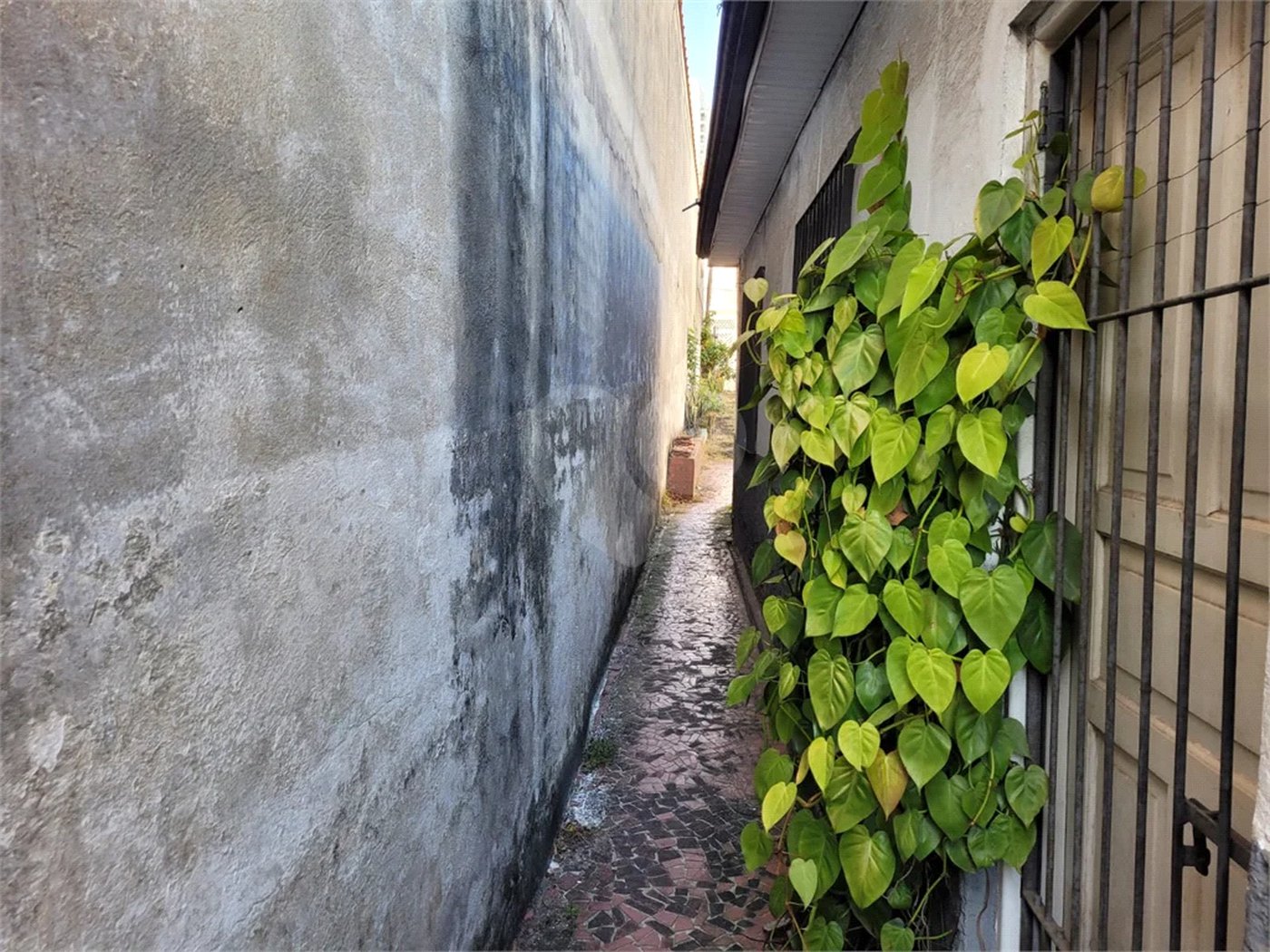 Casa na região do alto da Mooca com 242m² de área total.