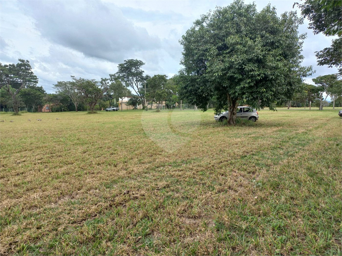 Loteamento Residencial no Condomínio Vila Pinhal do Broa.