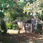 Imponente Casarão no Centro de São Carlos