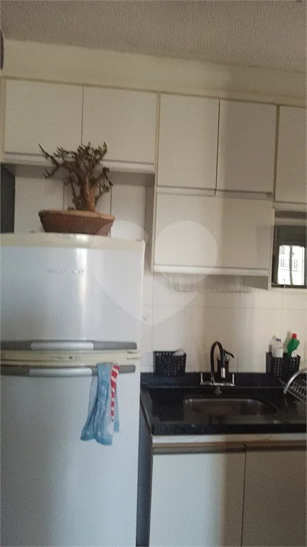 Apartamento 3 dormitórios Cond. Laranjeiras.