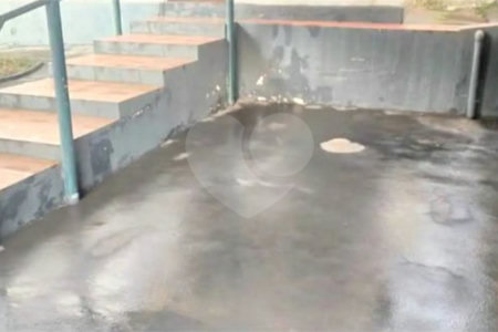 Casa à venda com 4 quartos, no centro, São Carlos - SP