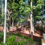 Terreno Plano no Faber 3 a venda
