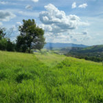 GLEBAS RURAIS EM PIRACAIA A PARTIR 20.000 M², EXCELENTE PARA CHÁCARAS E FAZENDINHAS