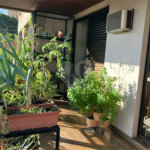 Cobertura à venda com 3 quartos, sendo 1 suíte, no Centro, Piracicaba, SP