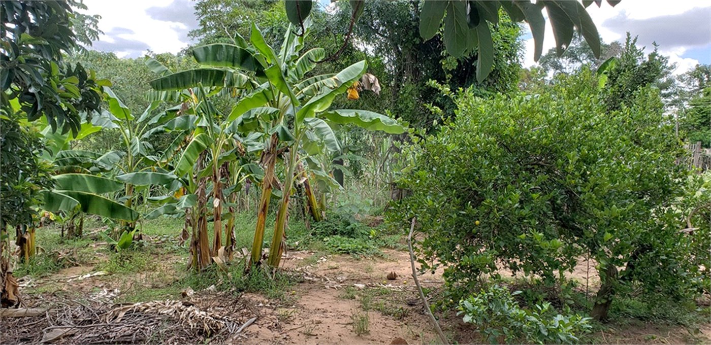 Sitio para venda.