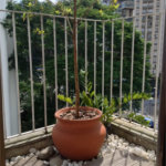 Apartamento à venda com 2 quartos em Vila Andrade, São Paulo, SP