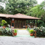 Terreno à venda em Jardim São Vicente, Cotia - SP