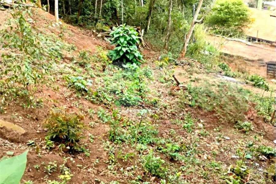 Excelente terreno à venda com 2950 m²