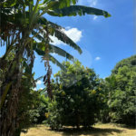 Excelente oportunidade no condomínio Vale das Laranjeiras, em Indaiatuba/SP. - R$ 1.850.000,00 - Terreno de 3.000 m²), com frente de 50 metros, proporcionando diversas possibilidades de projeto. O lote possui ótima localização dentro do condomínio, rodeado de natureza e com fácil acesso