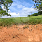 GLEBAS RURAIS EM PIRACAIA A PARTIR 20.000 M², EXCELENTE PARA CHÁCARAS E FAZENDINHAS