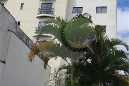 Apartamento 3 dorm, 1 suíte, 2 vagas no Belém