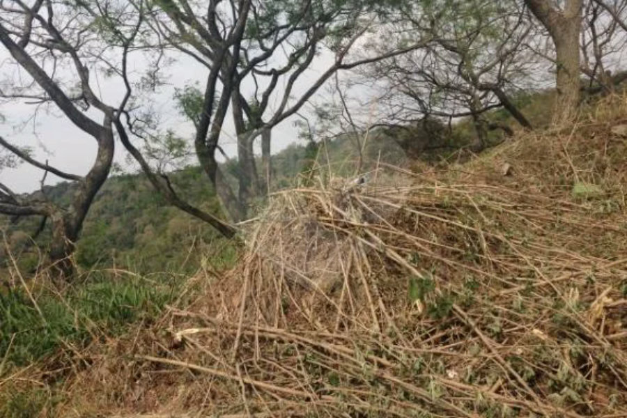 Loteamento à venda no condomínio xxxx, São Paulo - SP