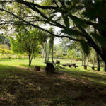 Fazenda à venda com 11 quartos no Centro, Analândia, SP