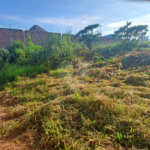 Terreno de 274 metros - Próximo ao Centro de Louveira